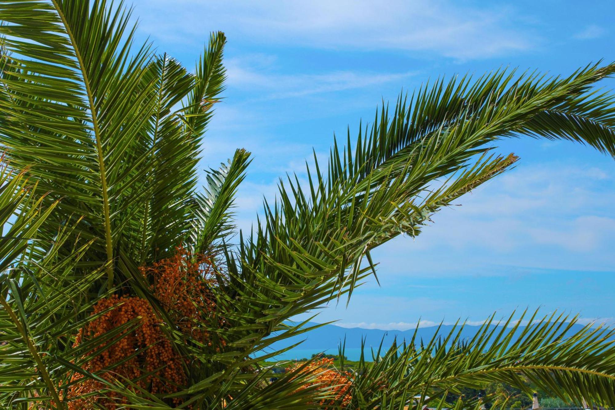 Argentario Osa Resort Talamone Exterior photo